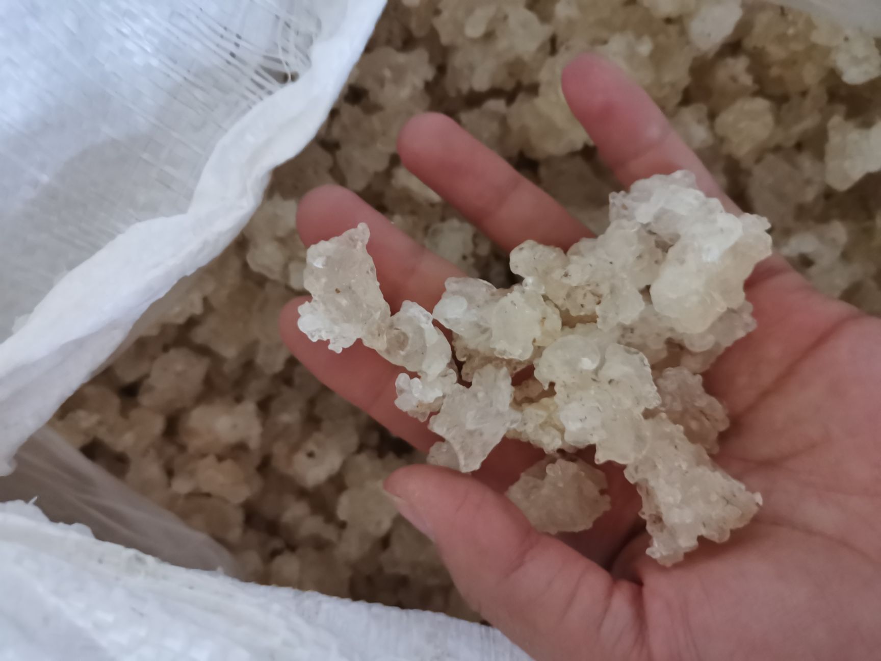 雪燕（一手货源）拉丝雪燕 大货批发 产地直销