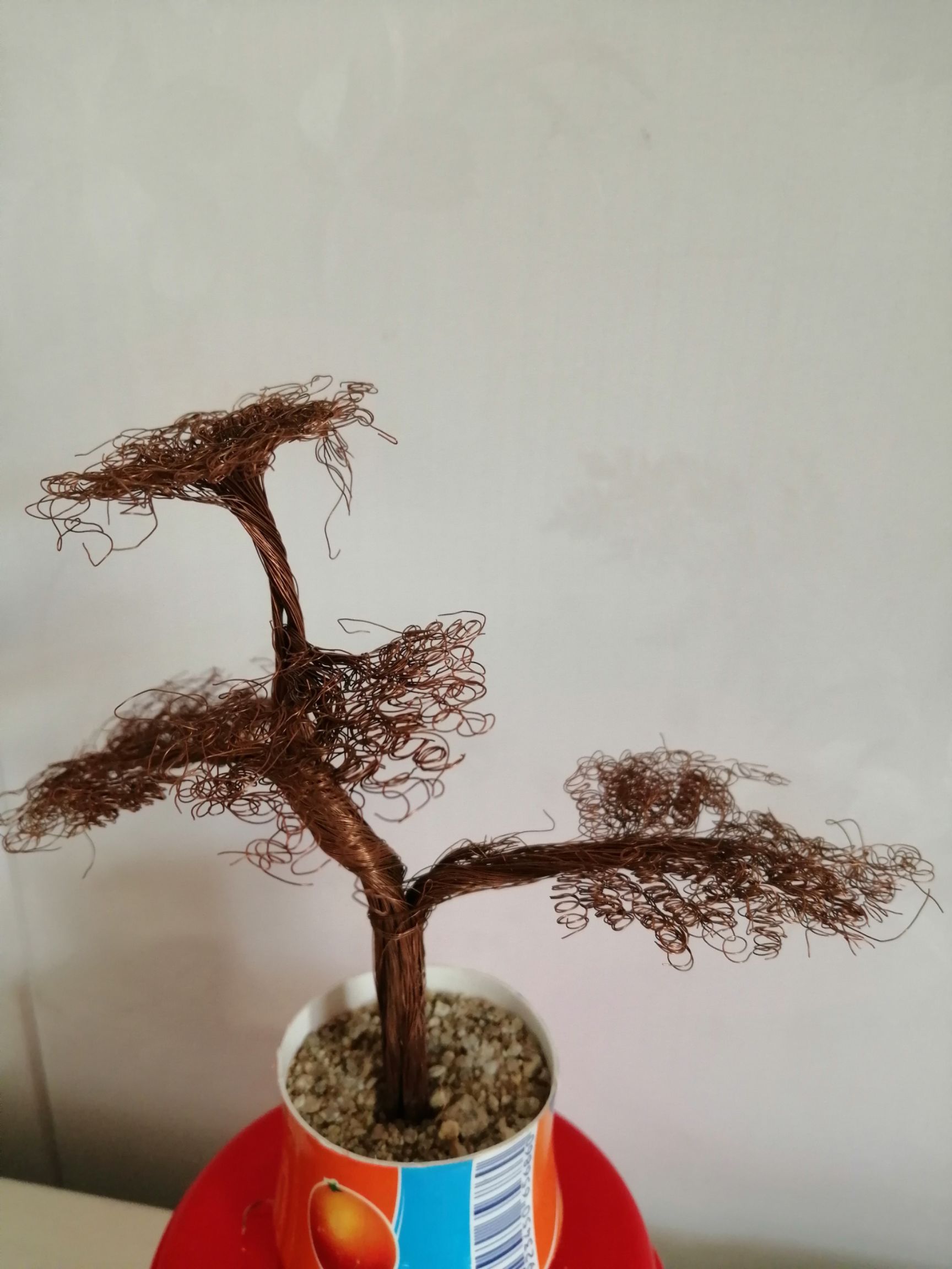 造型油松  造型松桌艺