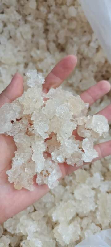 瑞丽市雪燕（一手货源）拉丝雪燕 大货批发 产地直销