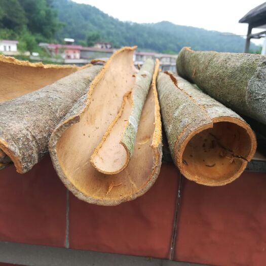 广州 肉桂皮，烟仔桂 桂农当年剥的自晒桂皮，深山桂皮，山区致富桂皮