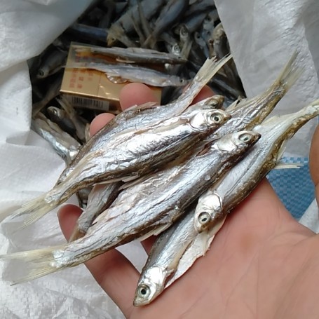枞阳县刁子鱼干  精品丰餐，手工破肚，日晒小鱼干。
