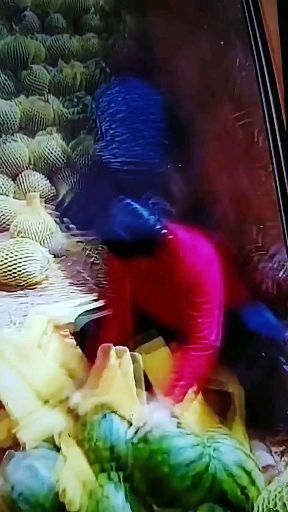 精品甜王西瓜