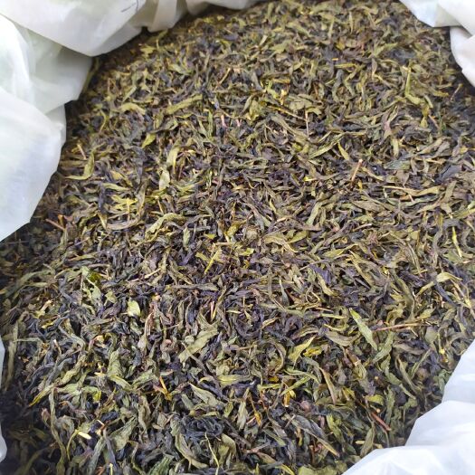 惠来县单丛茶 黄旦茶叶潮汕高山茶惠来土山茶福建乌龙茶叶黄旦茶高山茶