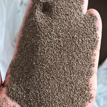  狗牙根种子，狗牙根又名绊根草，匍匐能力极强，在草坪广泛应用