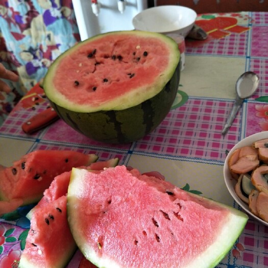 阜城县甜王西瓜，红瓤沙甜，质优价廉