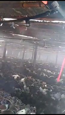 喷头 大棚专用折射雾化微喷，雾化效果好