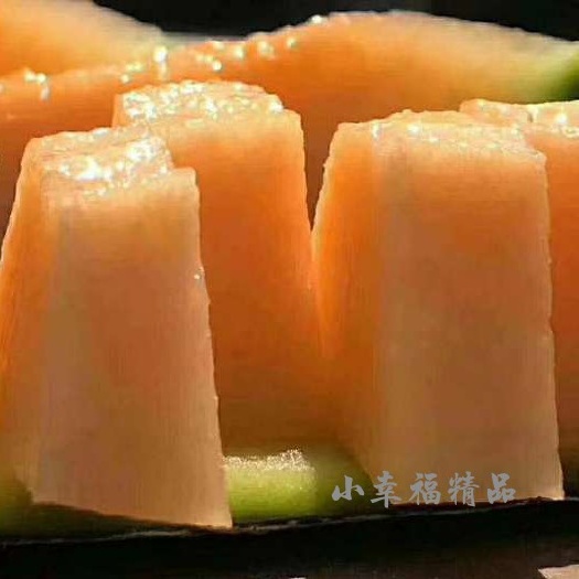 西洲蜜 新疆哈密瓜25年4月上市新疆直发包邮包售后