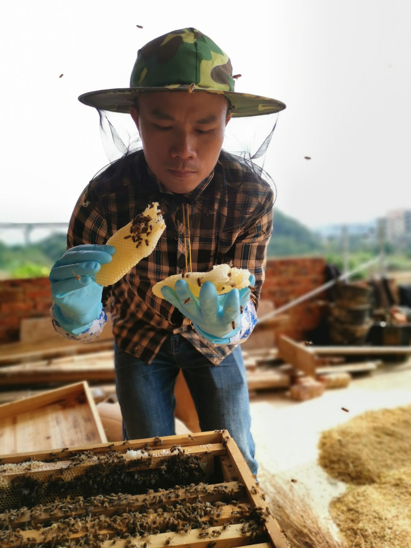 土蜂蜜  自家散养中华土蜜蜂自产蜂蜜龙眼蜜