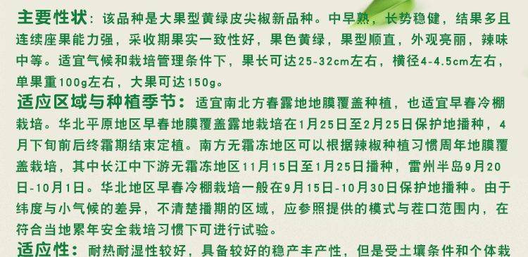 高产羊角椒种子 皇剑288长青辣椒种子