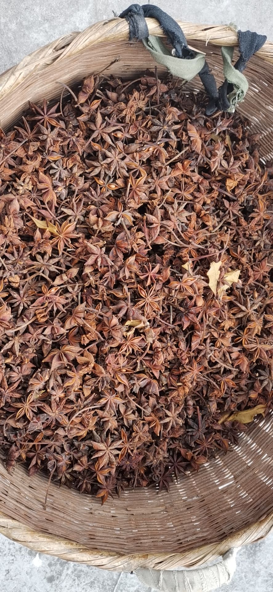 2021新货春花八角 广西百色田林八角之乡