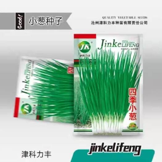 湘潭县小葱种子 小葱种