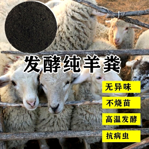 滨州鲁恩肥业生物菌发酵羊粪，质优价廉，农作物福音，长出的果，鲜
