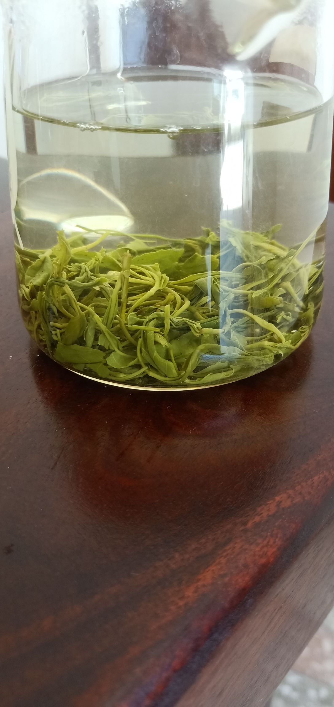 毛峰茶  自产自销云雾贡茶