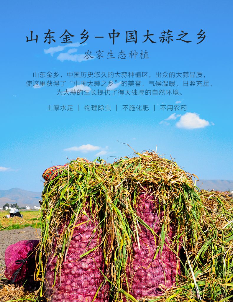  满名铭古法糖醋蒜，百年传承