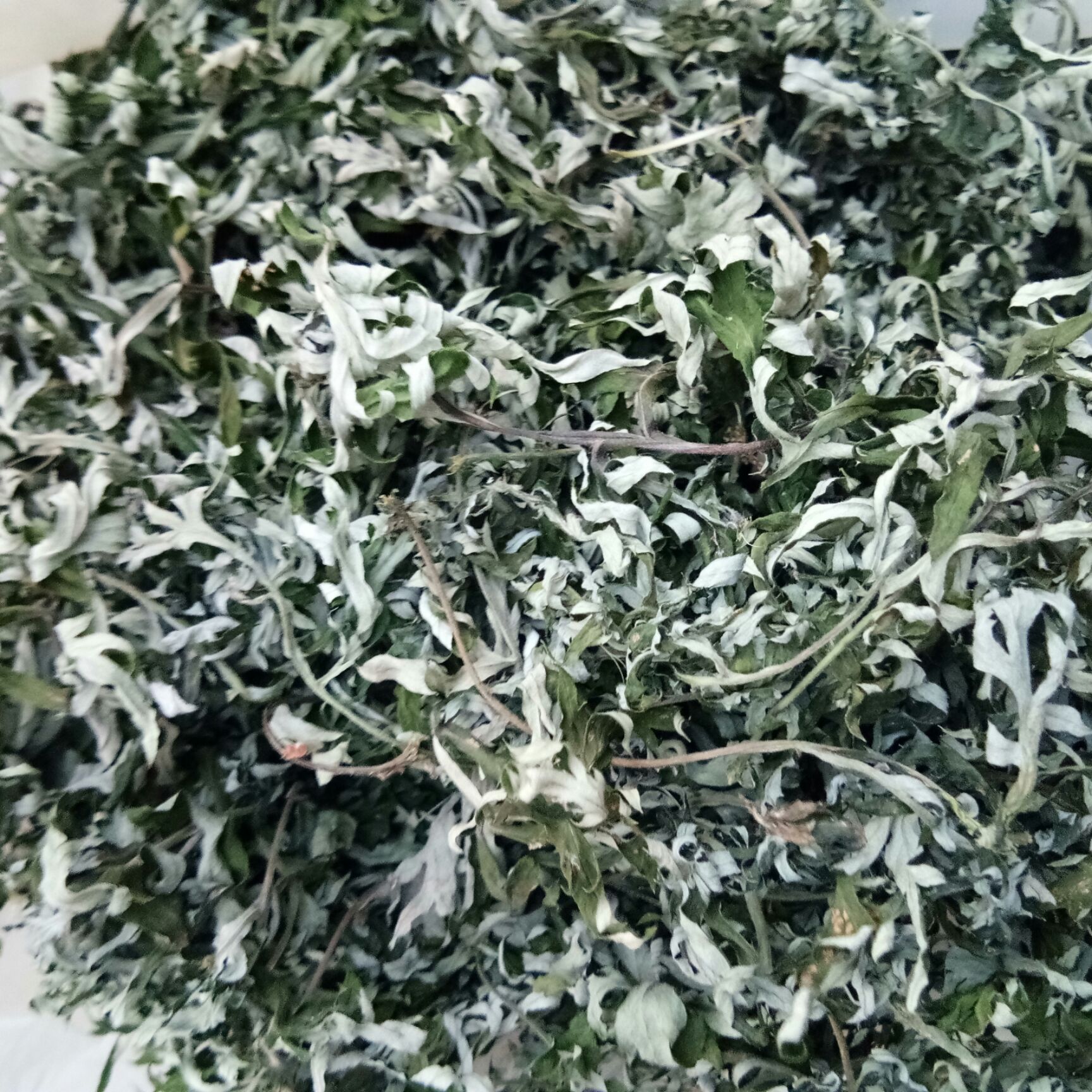 艾草  艾叶、艾根！自然晒干无硫！非种植农户一手货