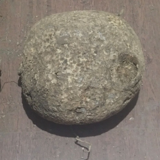 昆明蛇莲 大货鲜货，品相好，质量保证