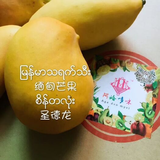 瑞丽市 包邮 缅甸 圣德龙芒果十斤装 套袋果