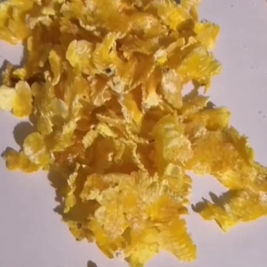 海伦市压片玉米  蒸汽玉米压片