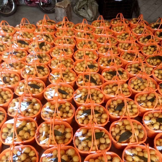 临海市白沙枇杷  大量供应枇杷