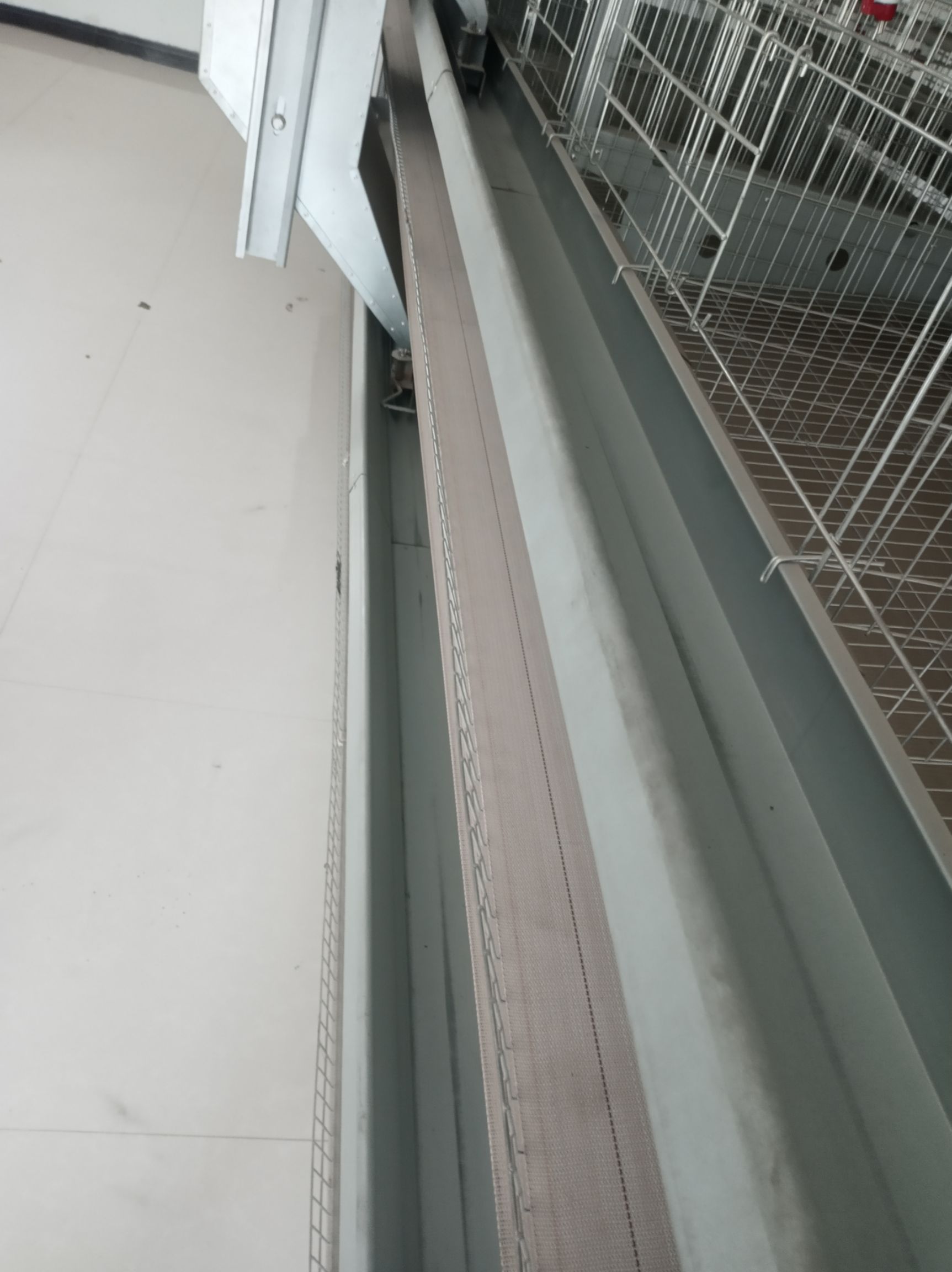  鸡笼养鸡设备层叠式蛋鸡笼肉鸡笼育雏笼自动上料清粪占地小多养鸡