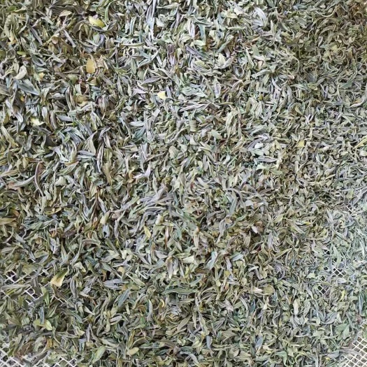 开化县茶片，开化龙顶茶
