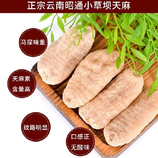 天麻正装云南昭通小草坝天麻
