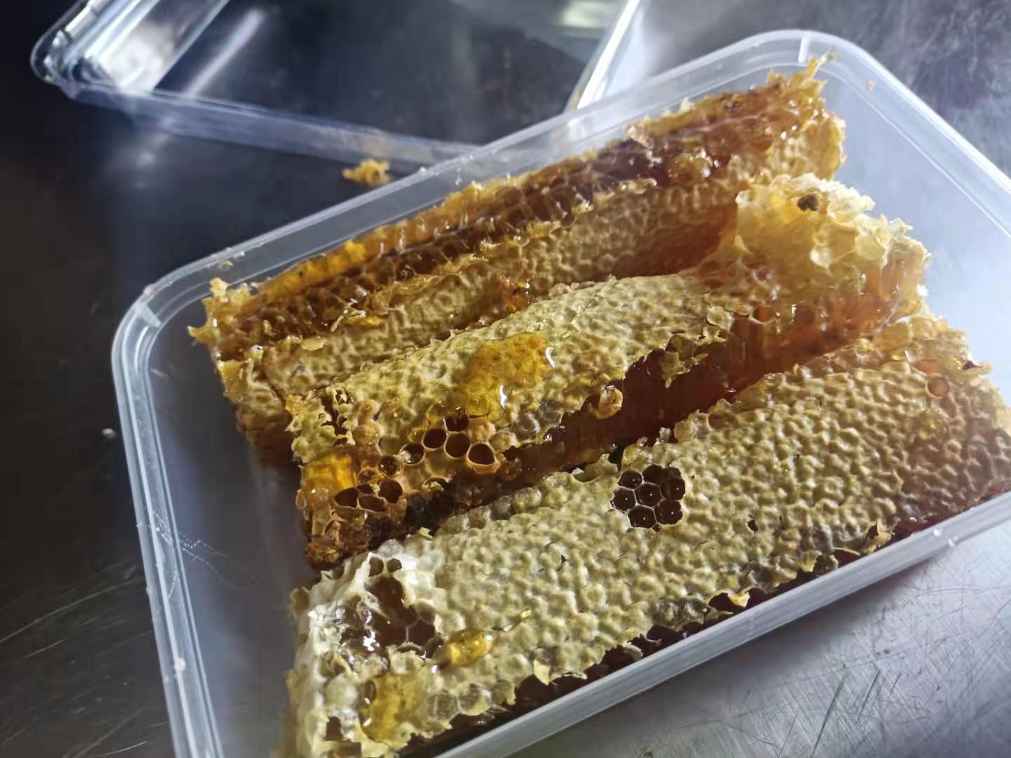 天然土蜂蜜(中华蜂)