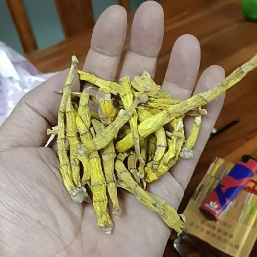 开平市美花石斛  虎牙石斛一级品10斤起批