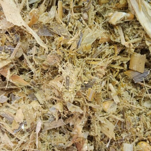 渭南 大量出售散货和打包好的带棒青储草