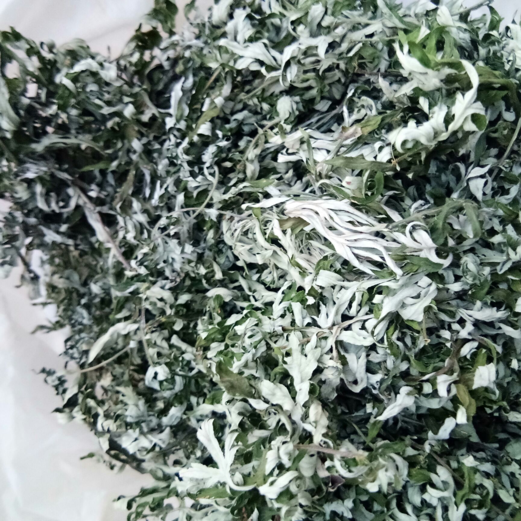 艾草  艾叶、艾根！自然晒干无硫！非种植农户一手货