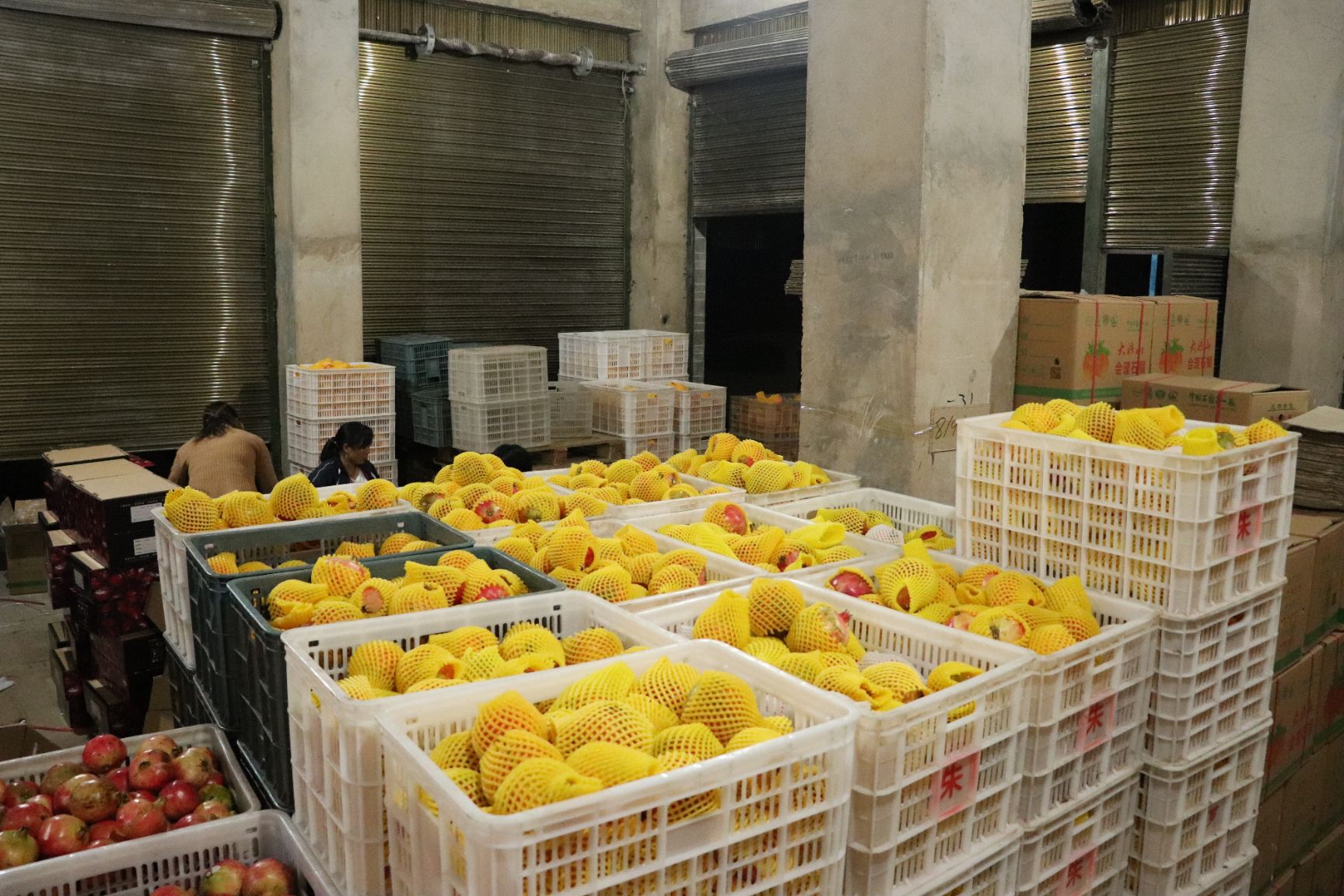 预售8月中旬上市四川会理突尼斯软籽石榴市场批发商超供应