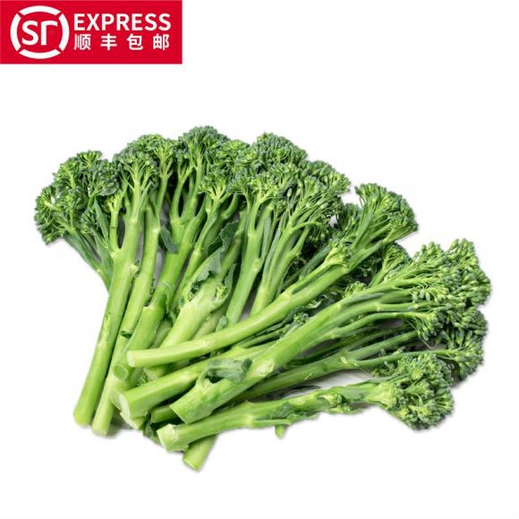 昆明西兰苔  云南产区精品蔬菜合作社产地直销提供优质货源，水菜，特菜，野菜