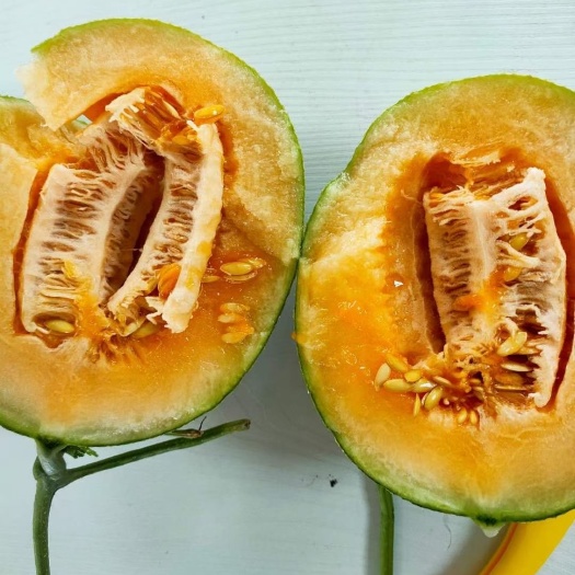 西州蜜  新疆特产吐鲁番哈密瓜甜瓜
