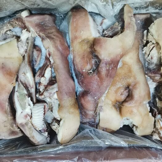 猪肉类  猪头肉