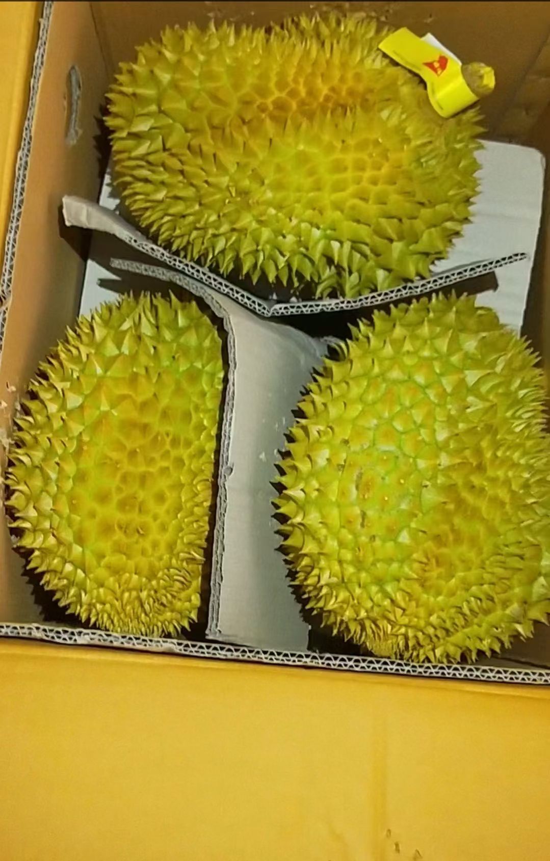 金枕榴莲  金枕头榴莲当季新鲜水果泰国榴莲A果