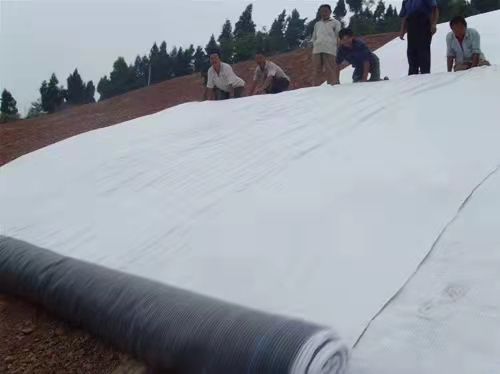 防渗膜 