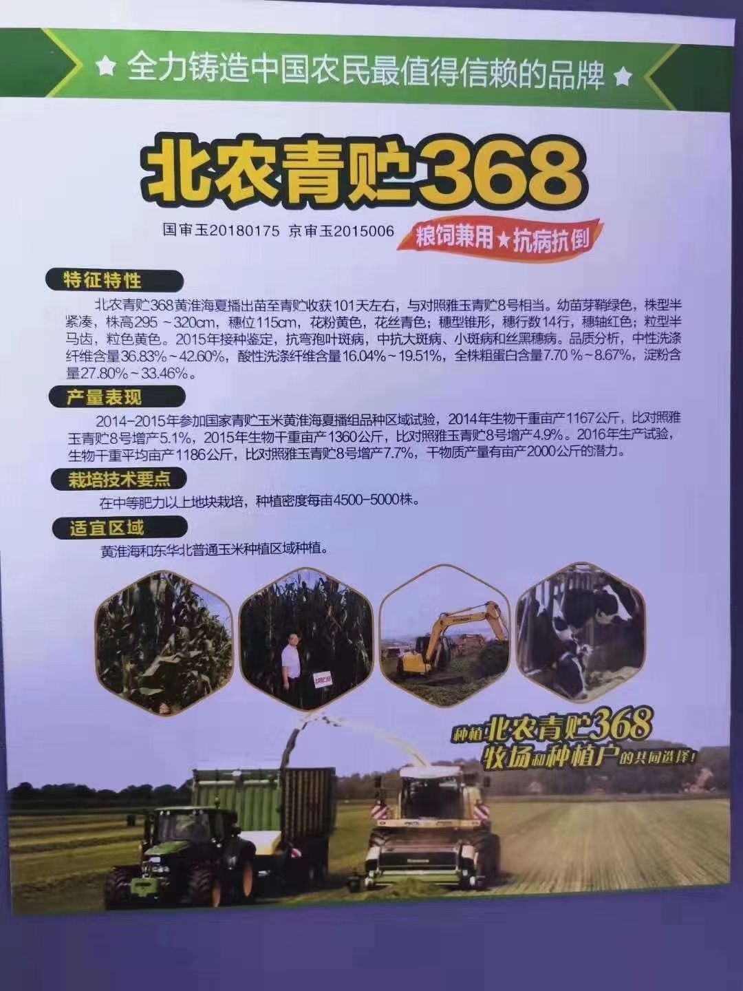 北农青储368