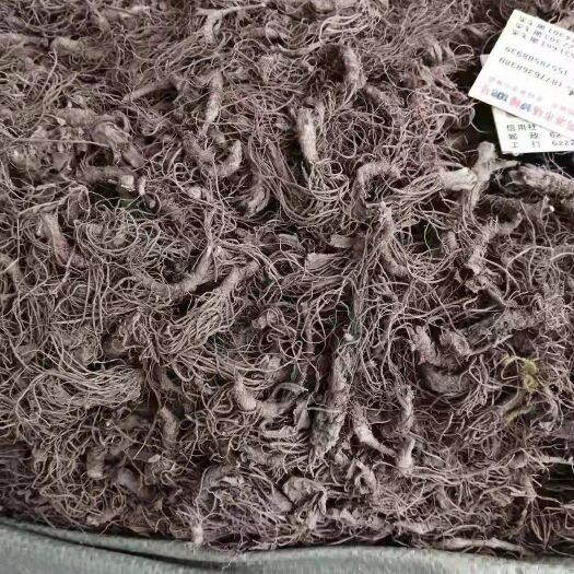 玉林地胆草 、中药材地胆头有大量货源欢迎选购