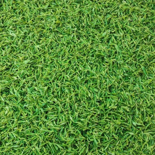 开化县 茶叶－开化龙顶茶（开化余田水农场）直批
