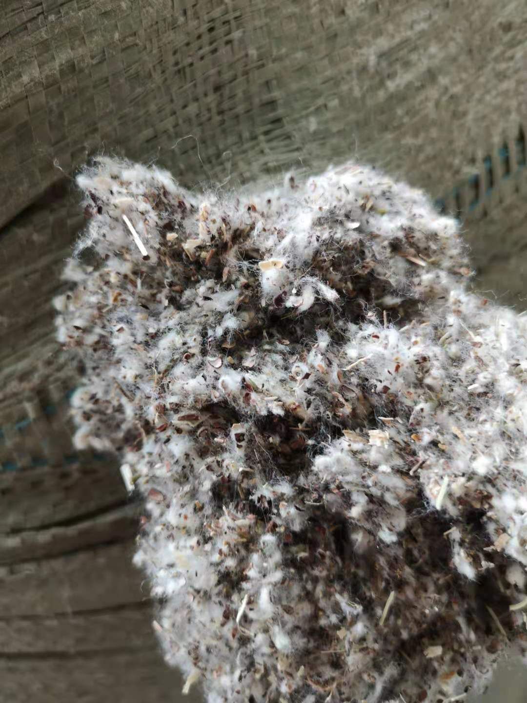 广东广西玉米芯棉籽壳棉渣麸皮次粉甜菜粕