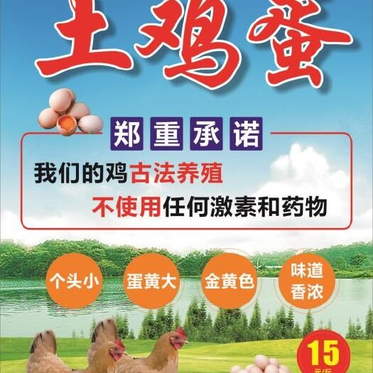 北京正宗土鸡蛋北京密云区山林土鸡蛋