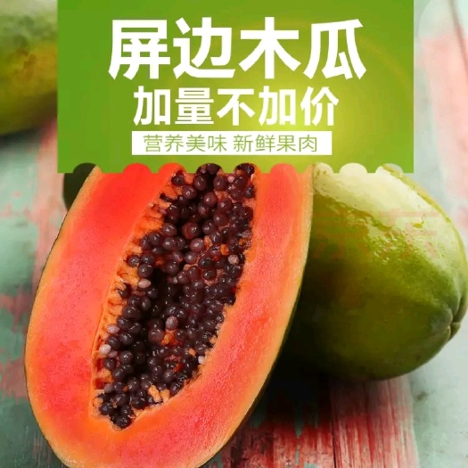 罗定市大白木瓜  泉水牛奶木瓜