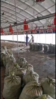 眉山 有机肥、农家干鸡粪