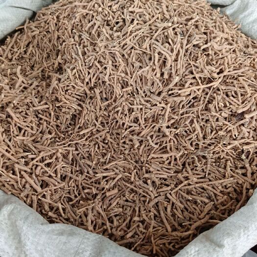 玉林无硫远志别名细草线儿茶小草根神砂草