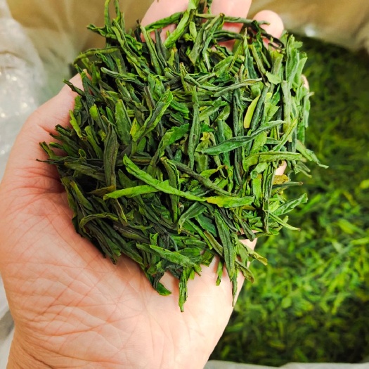 金寨县 批发绿茶 六安瓜片 金寨翠眉