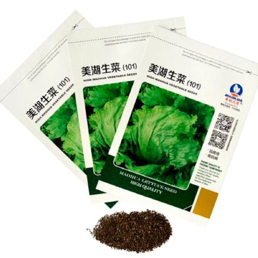 商丘生菜种子  美湖101结球生菜，耐热耐抽苔，700克，适宜早