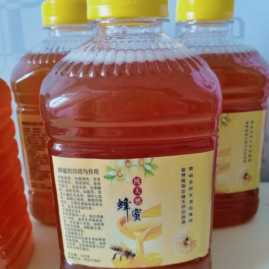 遂溪县 湛江荔枝蜜、龙眼蜜自家自产自销蜂蜜