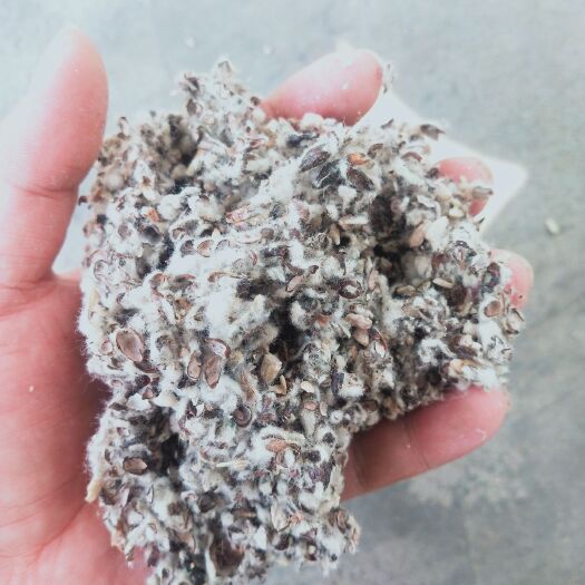 武汉棉籽壳  压缩棉壳中壳中绒小壳长绒磨盘含粉，玉米芯压缩包棉渣