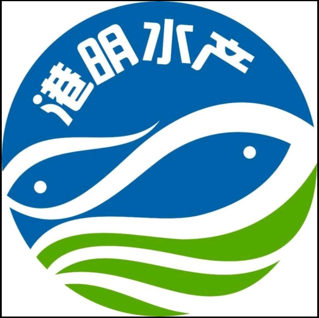 纯种锦鲤鱼苗黄金锦鲤活体观赏鱼冷水鱼练手鱼鱼缸鱼塘小型鱼活鱼