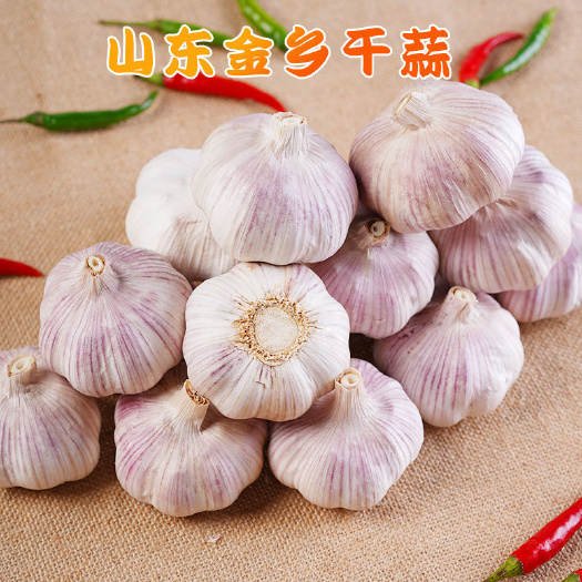金乡县金乡大蒜紫红皮太空杂交鲜蒜干蒜批发，加工，一件代发